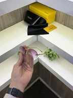 Product media